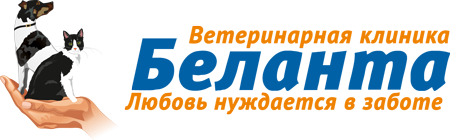 Беланта